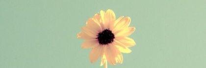 saewoo625's profile banner image