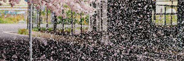 faiz_2111's profile banner image