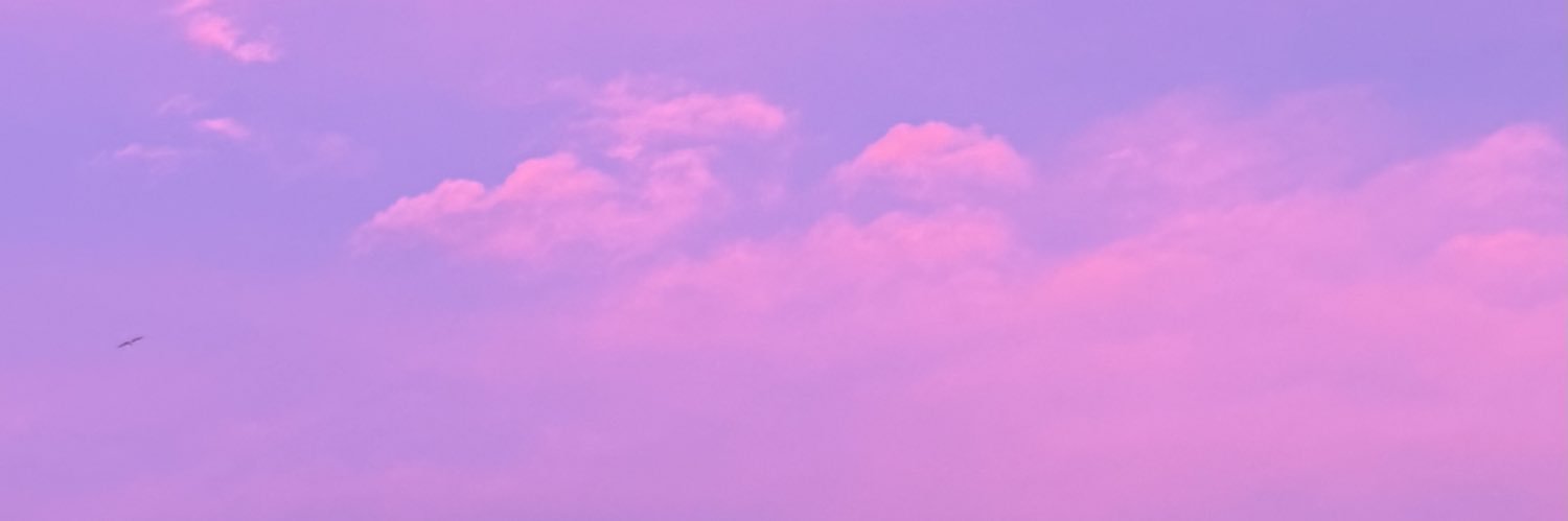 Nereaa_3's profile banner image