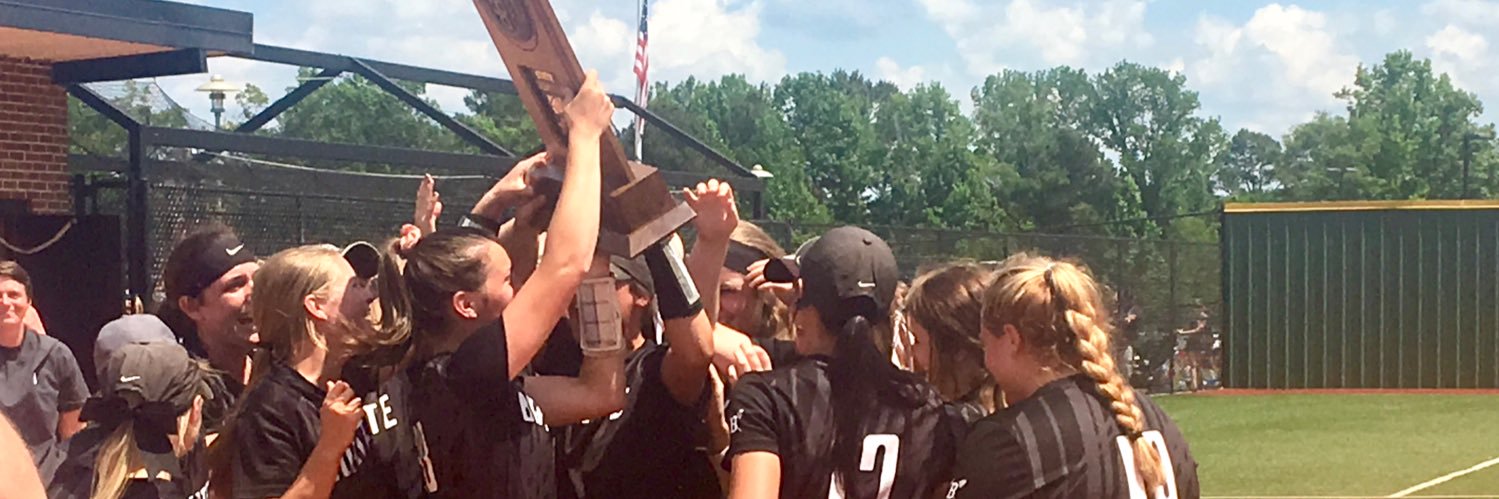 Bauxite Athletics banner
