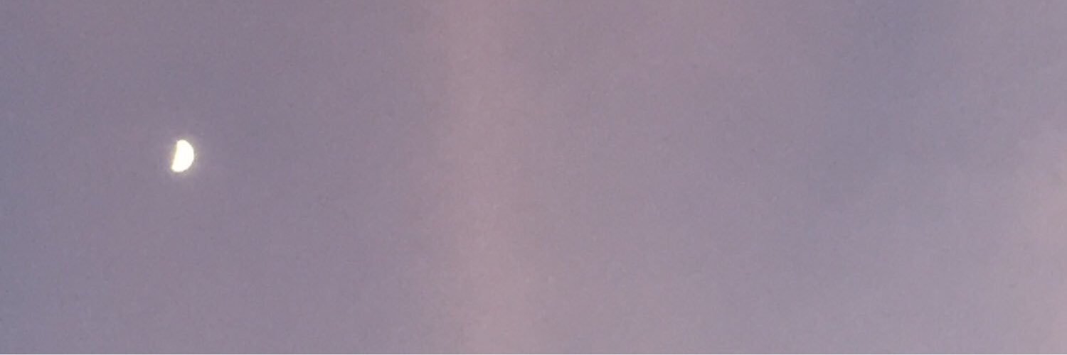 ZestyTonka's profile banner image