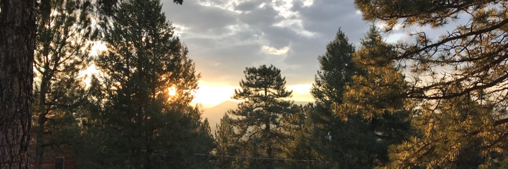 Lariat Lodge Brewing Company banner