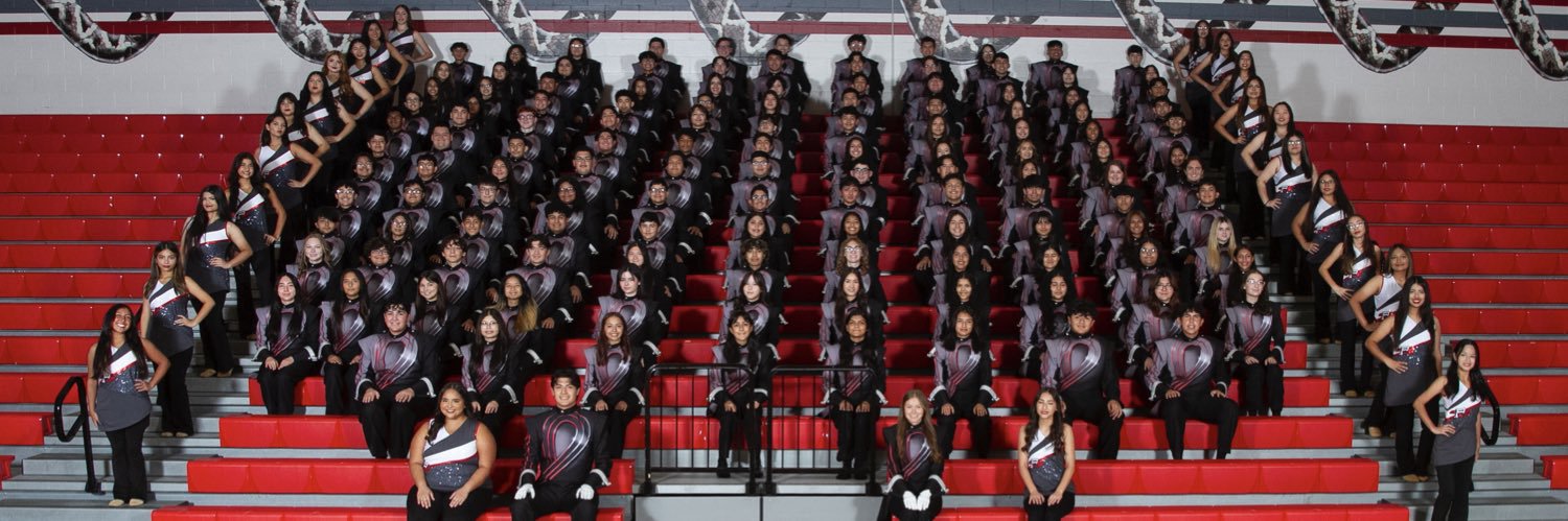 Pioneer Diamondback Band banner