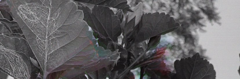 ThvnderingSky's profile banner image