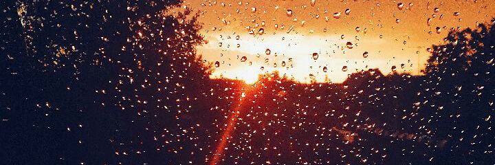 Mario Alejandro banner