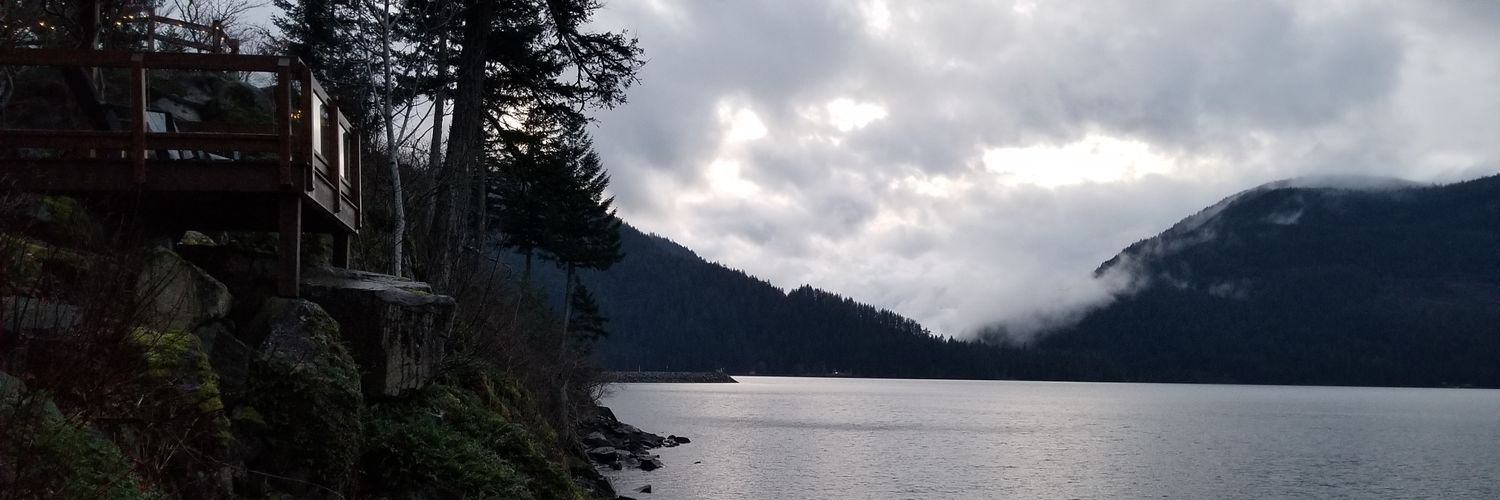 calla_carri's profile banner image