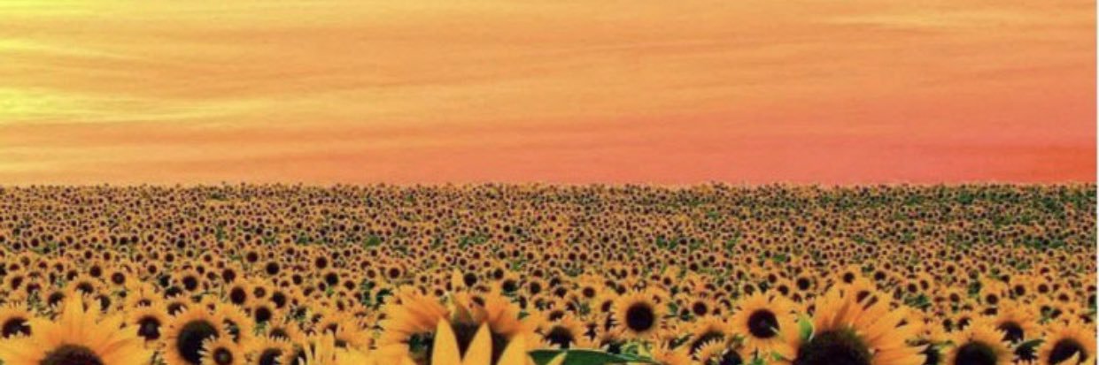 sunkisseddddd's profile banner image