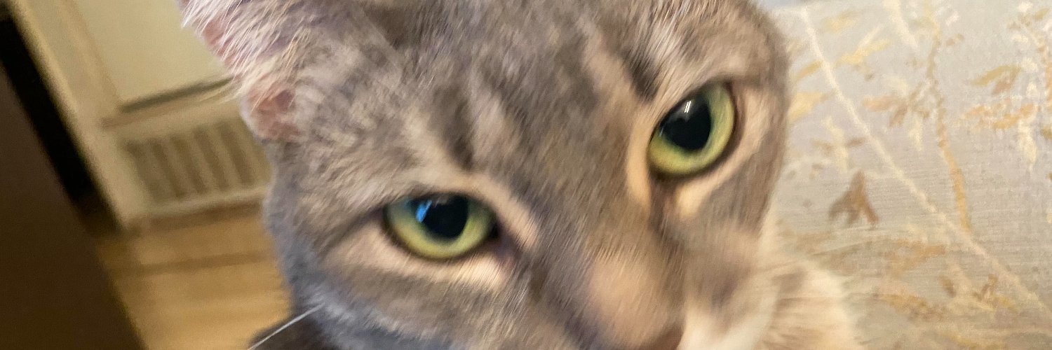 colekate5071's profile banner image