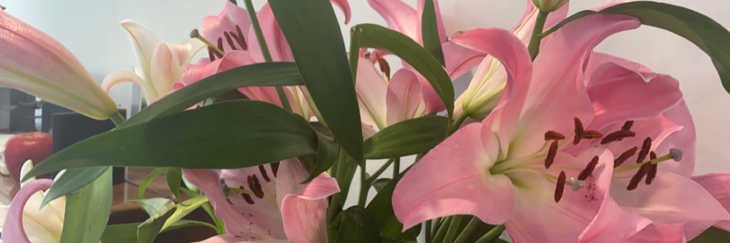 tommobaaby's profile banner image