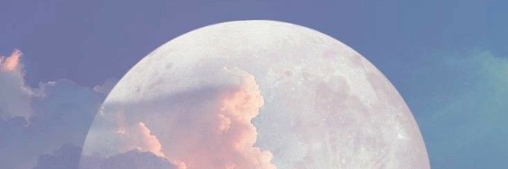 janejidaa's profile banner image