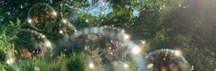 eggseeeds's profile banner image