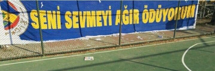 ali_merall's profile banner image