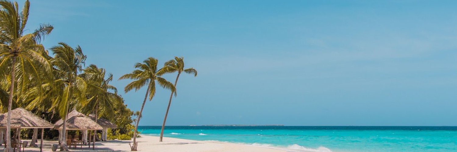 k501x's profile banner image