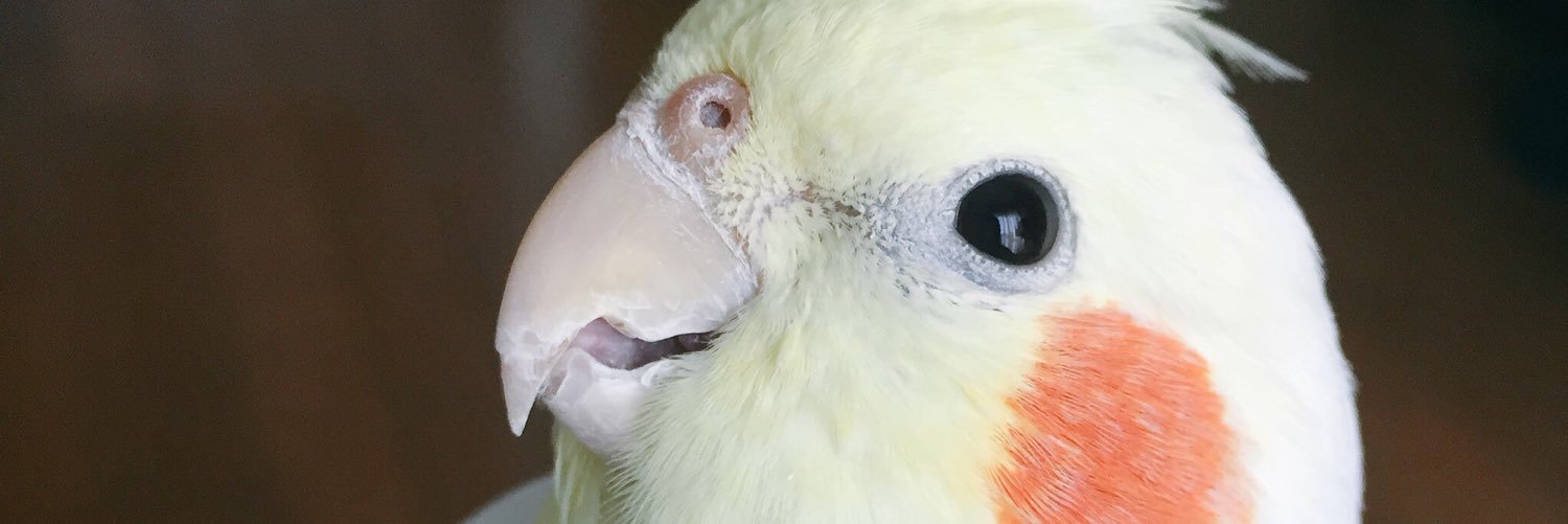 pompomyuki's profile banner image