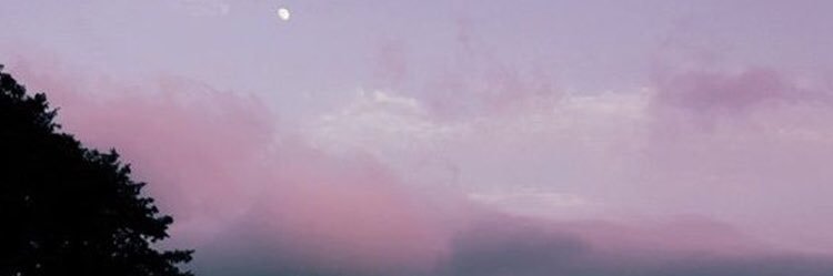 ChicoRanas's profile banner image