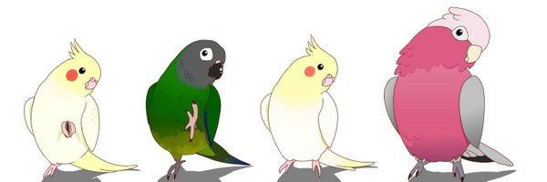 noricco1414 Profile Banner