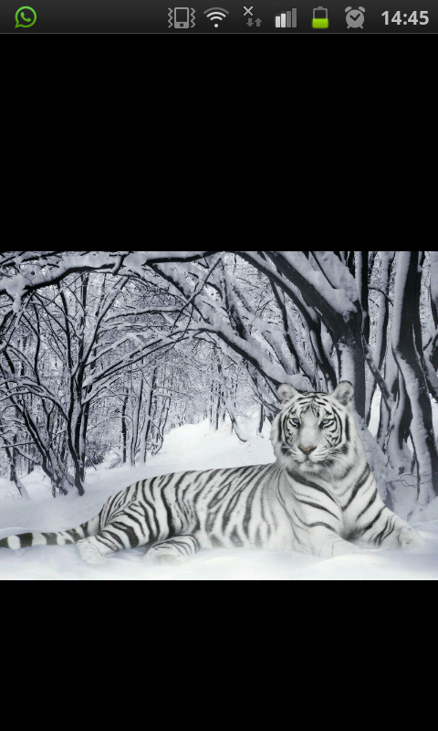 Myy_Self's profile banner image