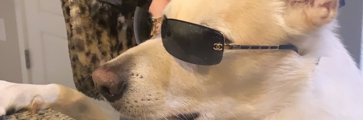 camillesweger's profile banner image