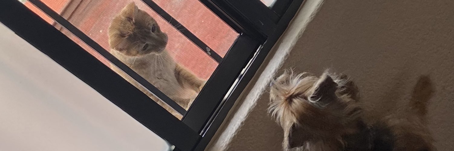 scampillo72's profile banner image
