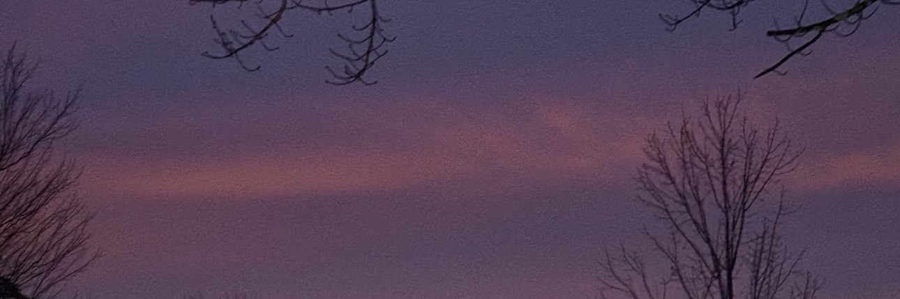 rozy_ap's profile banner image