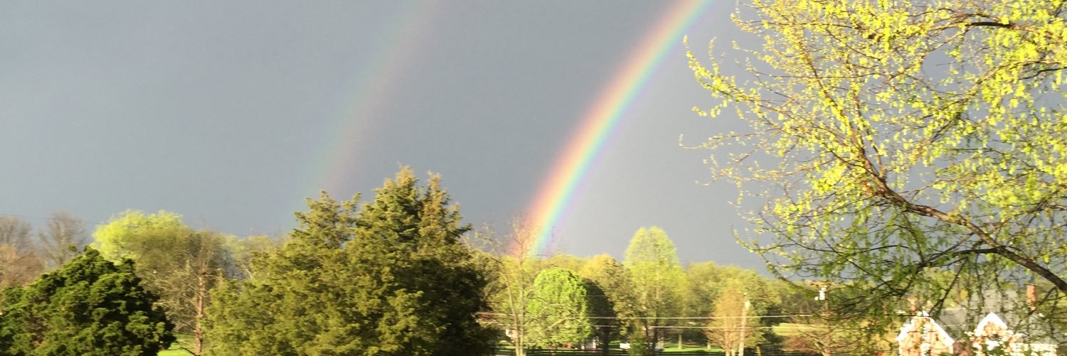 SB1stgrade's profile banner image