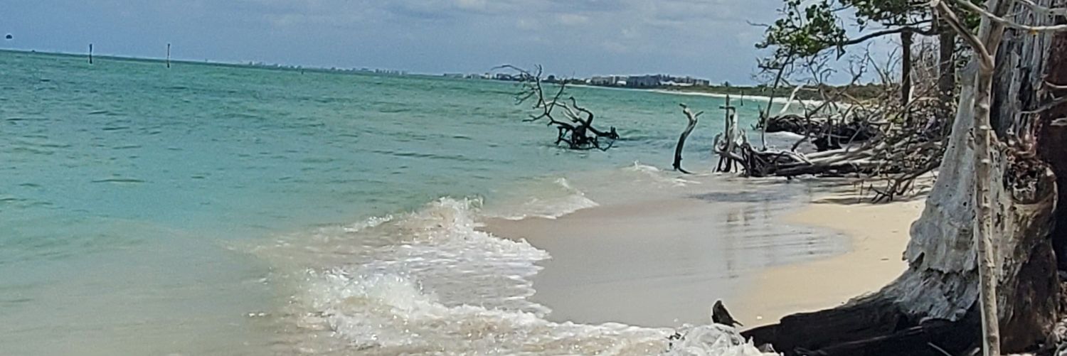 Melissa Simashkevich banner