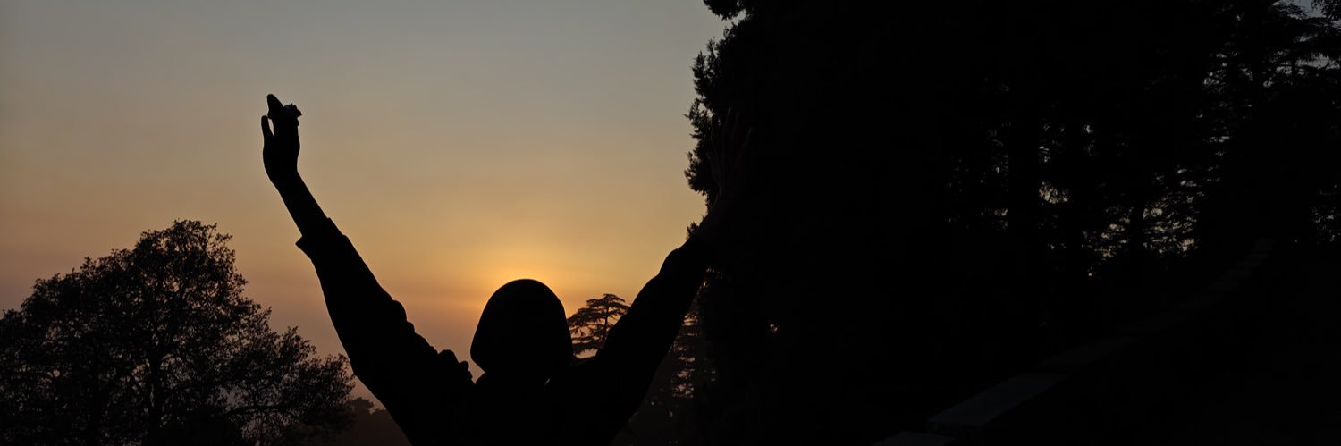 V banner