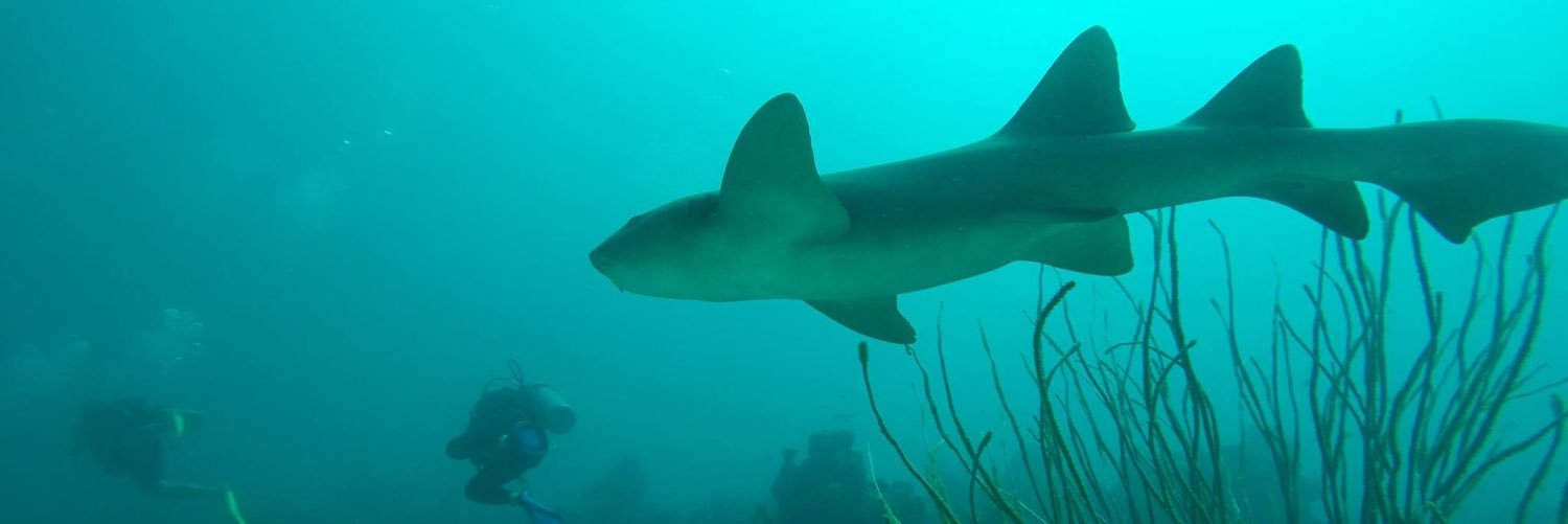 Mapanauta in🚀🛰️🌍🧭 banner