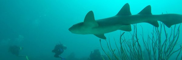 mapanauta Profile Banner