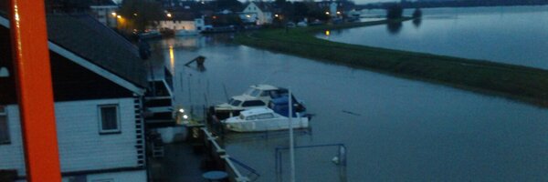 Wimblebear Profile Banner