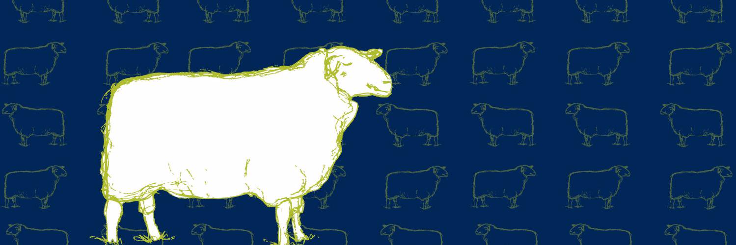 SentryHillNZ's profile banner image