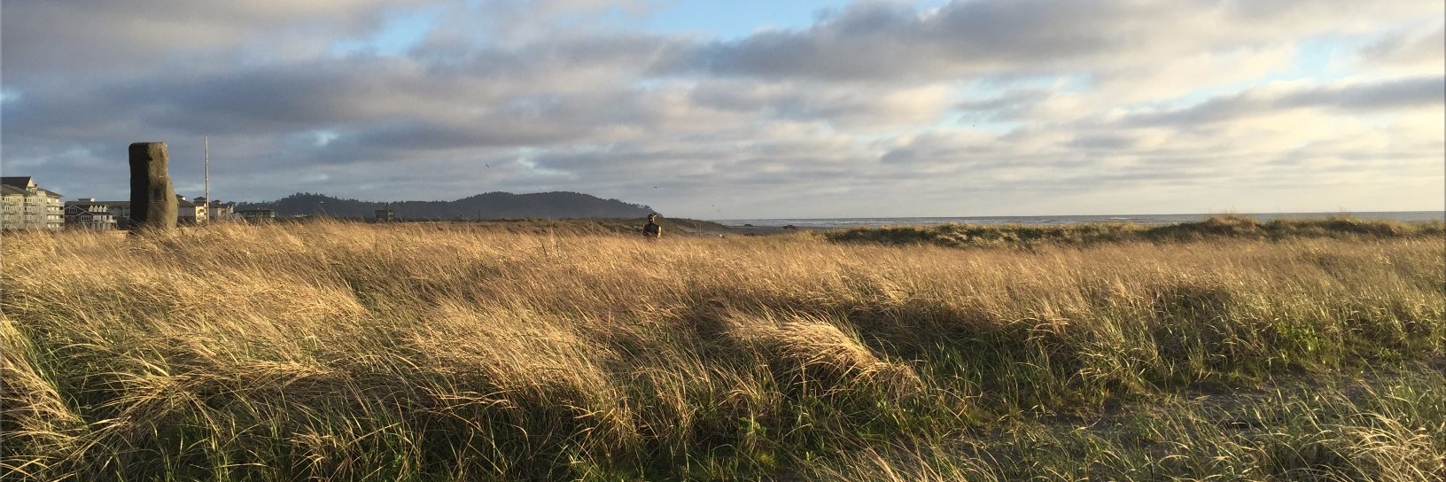 LongBeachWa's profile banner image