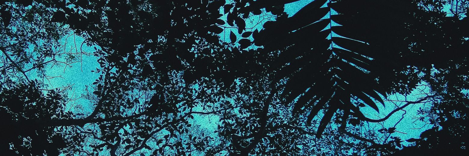 DSSalazarB's profile banner image