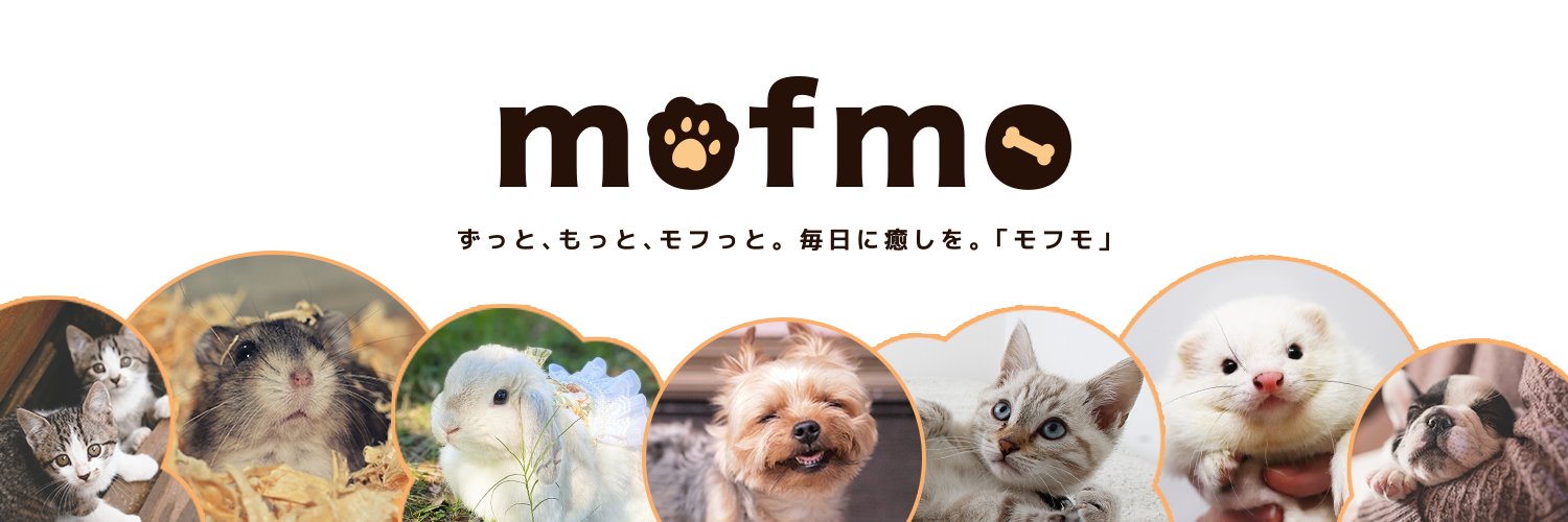 mofmo_'s profile banner image