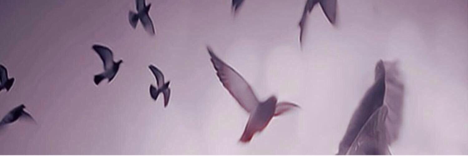 _abeer771's profile banner image
