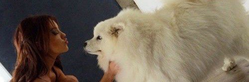 Michaely5's profile banner image