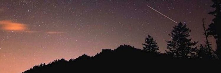 Arwwa1997's profile banner image