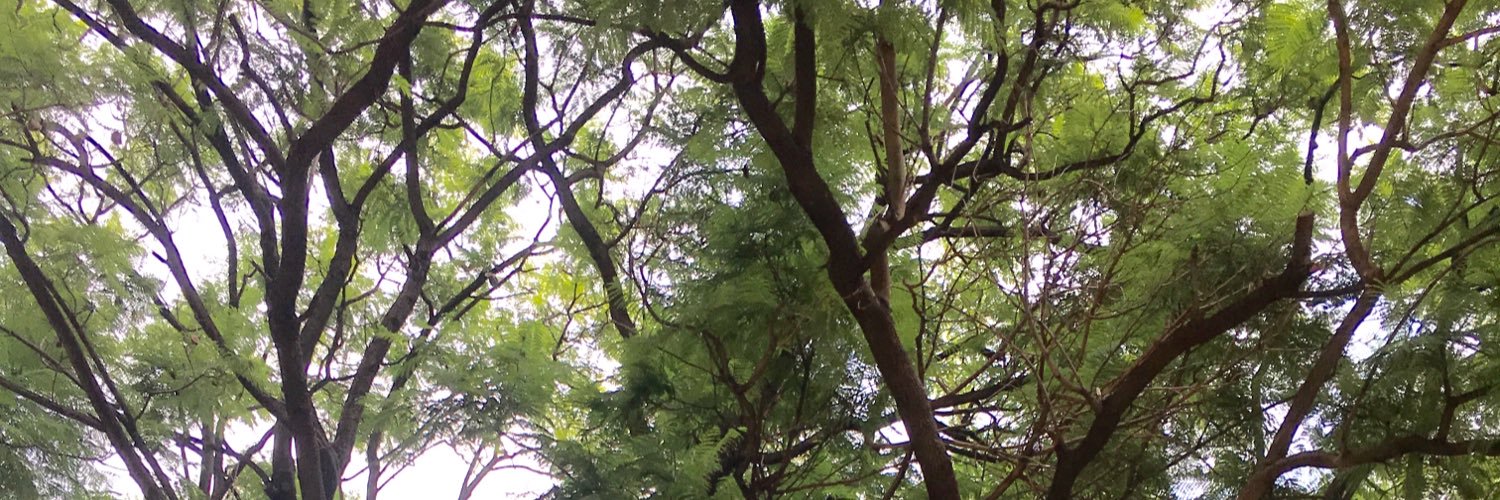 Dimitri Roussel banner