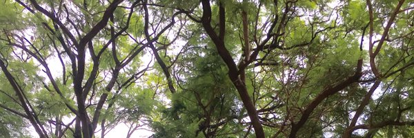 DimRoussel Profile Banner