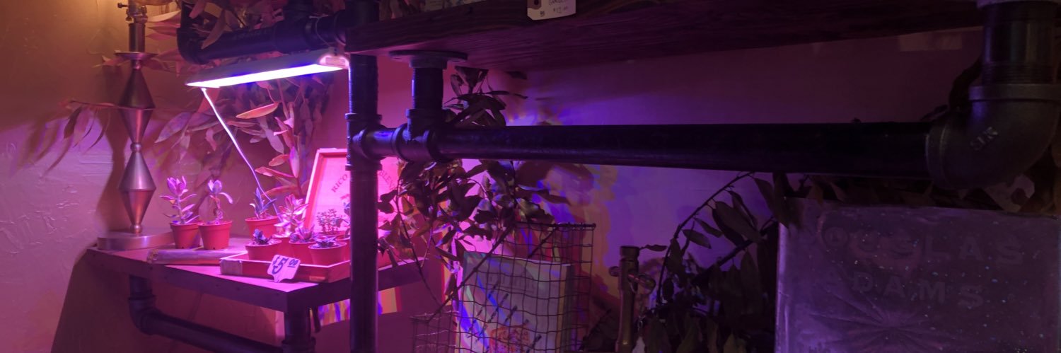 shucksbud's profile banner image