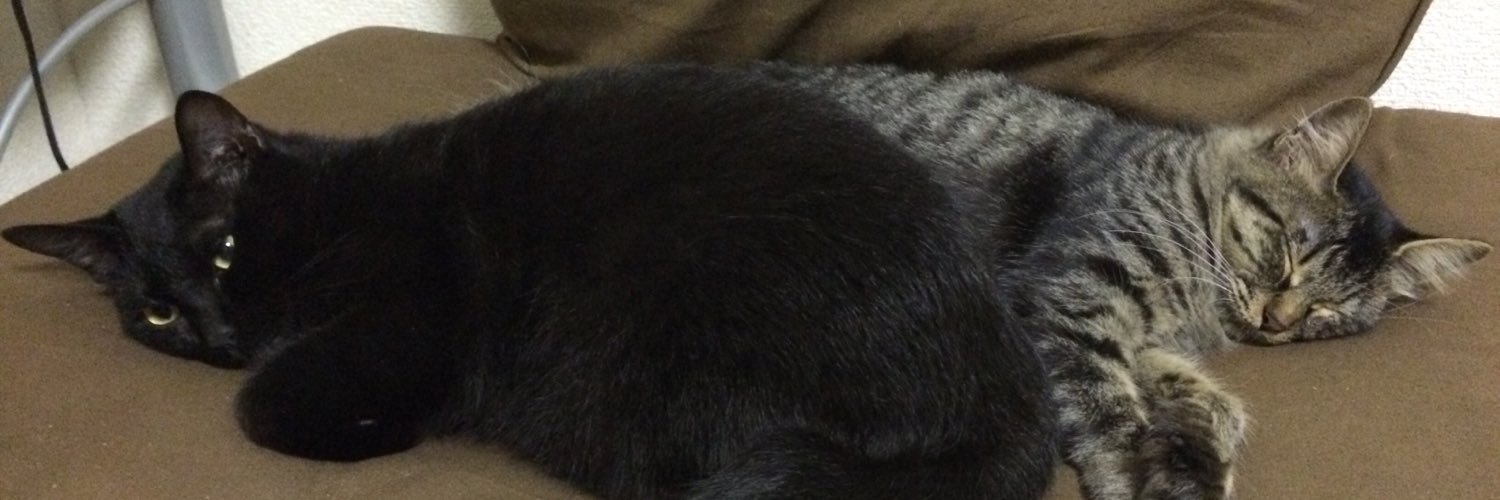 mrstazs's profile banner image