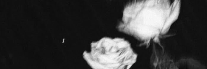 Hiumility's profile banner image