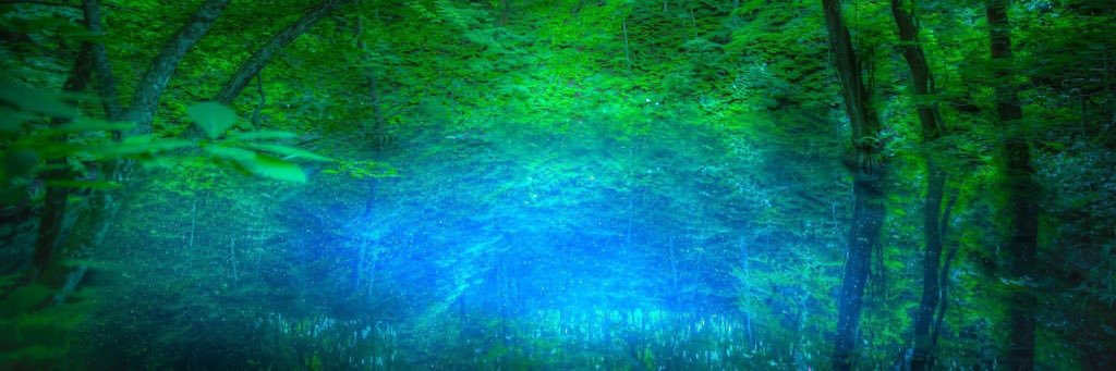 aotuki777gmail1's profile banner image