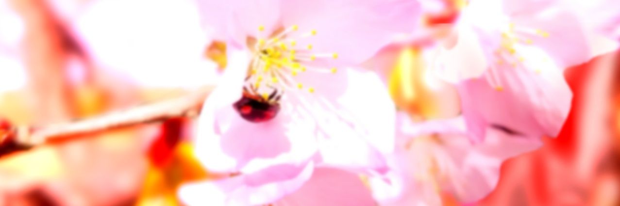 qLockS74's profile banner image