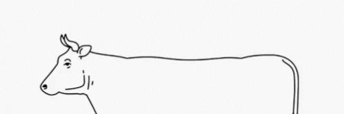 sam1515026's profile banner image