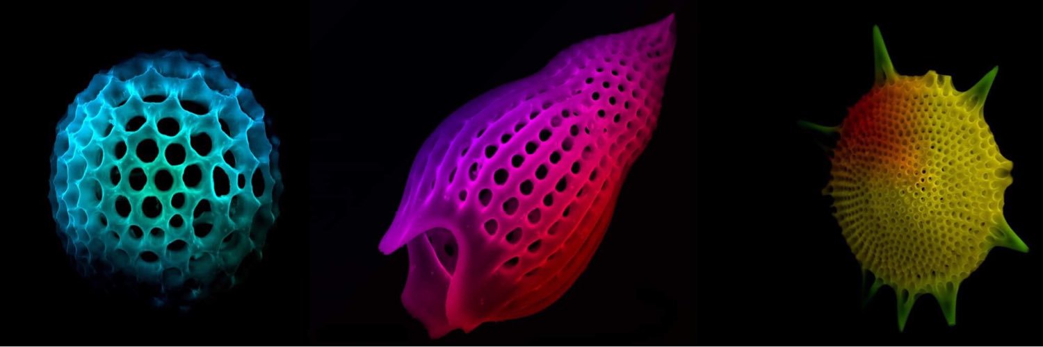 Daniel Oldfield banner