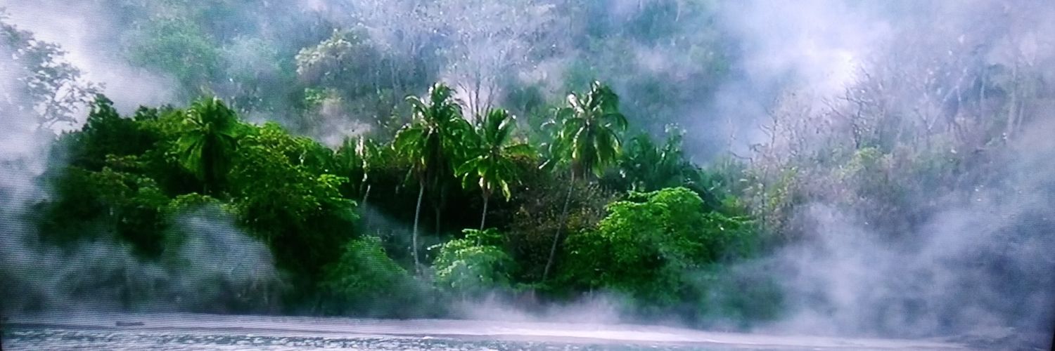shiwondale's profile banner image