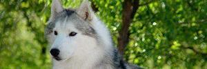 Cryptosavage02's profile banner image