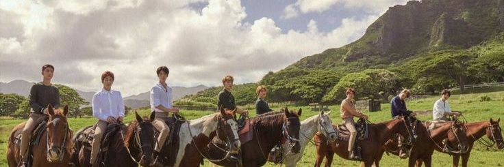 strcotton_'s profile banner image