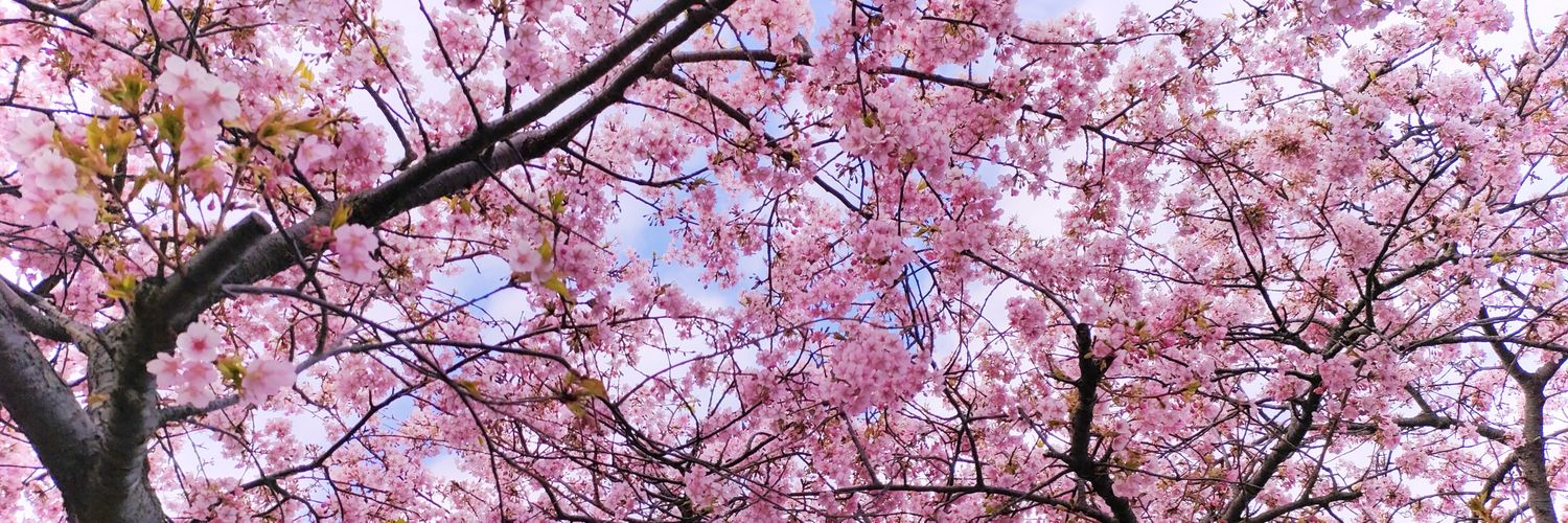 _nemui_17's profile banner image